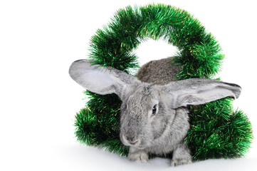 Rabbit - a symbol of 2011 in a framework from a tinsel