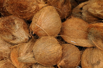 Husked Coconuts For Sale