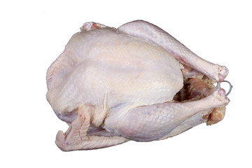 Raw Uncooked Turkey Bird