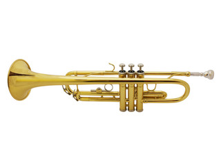 trumpet