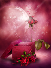 Romantyczne tło z różami i pudełkiem na prezenty - obrazy, fototapety, plakaty