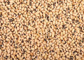 Fototapeta premium Dry beans