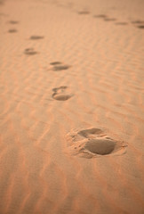 Human footprints