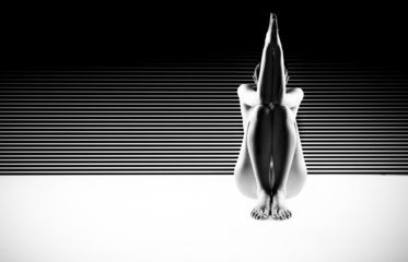 black and white artistic nude, with arms and legs joined on a ve