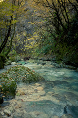 torrente