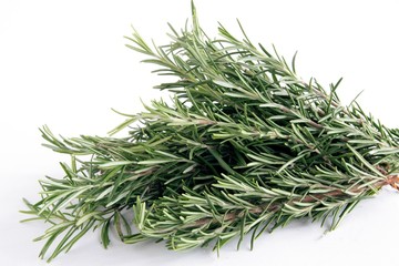 rosemarine herb