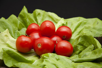 Cocktail Tomaten auf Salatblätter