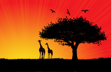 Fototapeta na wymiar African sunset illustration with two giraffes