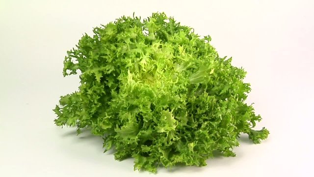 Indivia verde