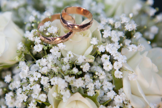 Gold wedding rings on colors
