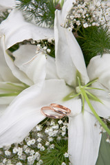 Gold wedding rings on colors