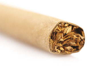 Cigar close-up
