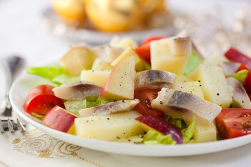 Herring Salad with Apple.Christmas Dish