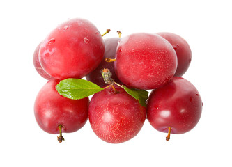 wet ripe plums