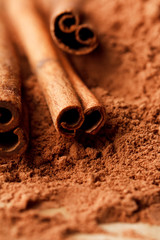 Cinnamon Sticks with Cocoa