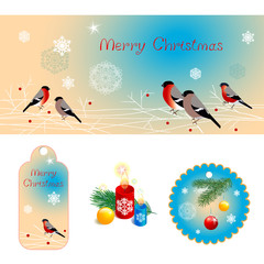 Background with bullfinches