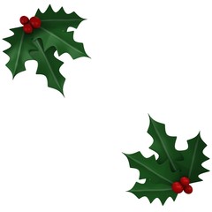 Two mistletoes in white background - 3d image