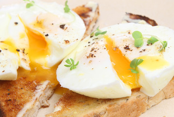 Poached Eggs on Toast