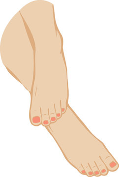 Vector illustration of a foot of feet on a white background