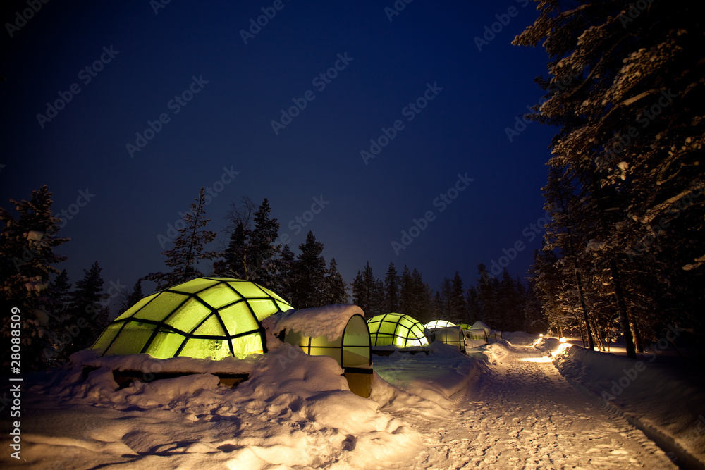 Wall mural glass igloos