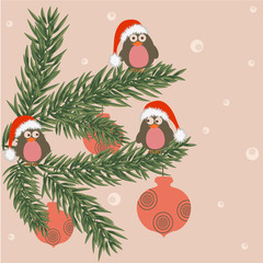 Funky christmas birds