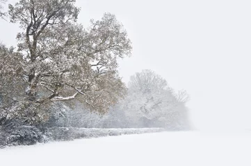 Papier Peint photo autocollant Hiver Beautiful winter forest snow scene with deep virgin snow