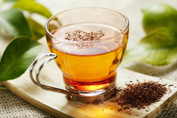 rooibos tea