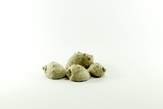 Buzios