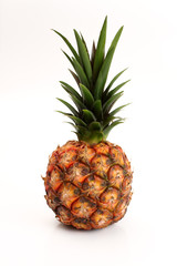 Fototapeta premium Piña