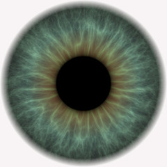 iris of eye