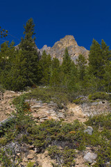 Castle Mountain