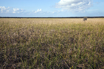 Jean Lafitte Preserve