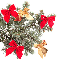 Christmas decoration - a Christmas tree branch with ribbons
