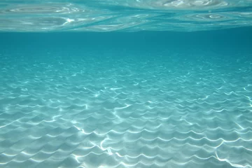 Foto op Plexiglas Palombaggia strand, Corsica onder water