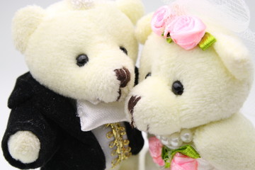Bear Couple Close-up