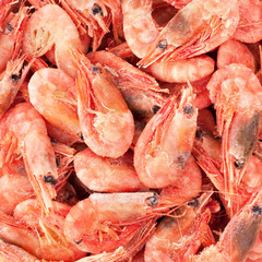 Frozen shrimps background