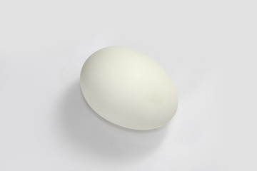 White egg on white background