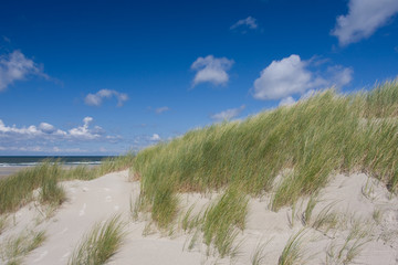 Dune and sea