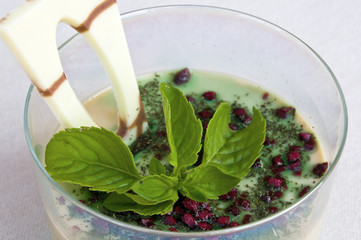 Primo piano panna cotta