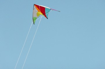 Cerf volant multicolore