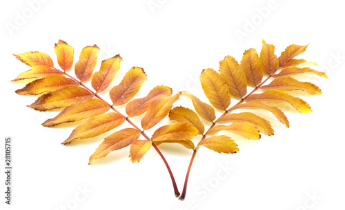 500_F_28105715_1etlGhD36Kt2iB9Dhte66qBRWhCSPxuG.jpg