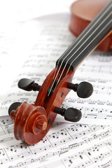 Naklejka premium Violin