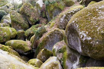 big rocks in a brittany forest