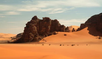 Fotobehang Sahara © MAURO