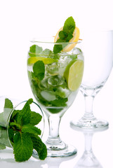 Mojito summer cocktail