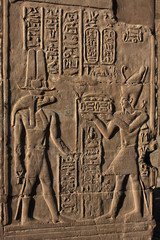 Anubis