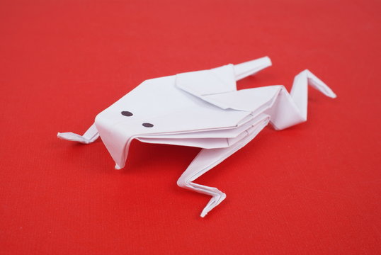 Frog Out Of Paper