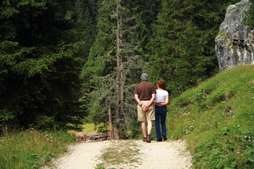 Obraz premium Relax into the Pinewood, Schiavanei plane of CANAZEI
