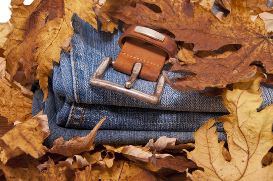 Blue jeans and belt buried fallen autumn leaves