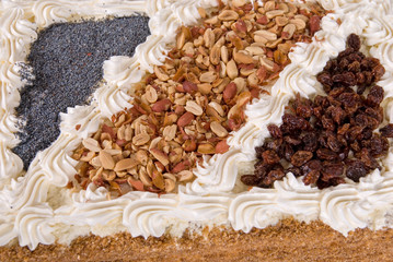 tasty cake